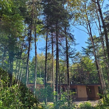 Nomi Resort Harcourt Exterior foto