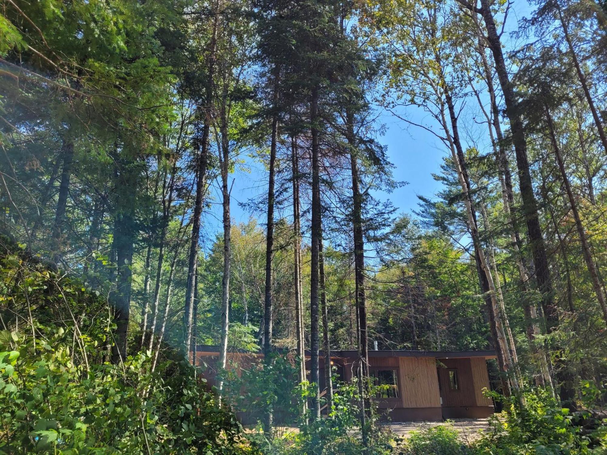 Nomi Resort Harcourt Exterior foto